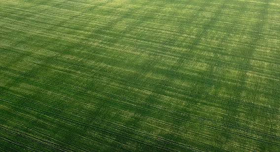 The Science Behind Photobioreactors